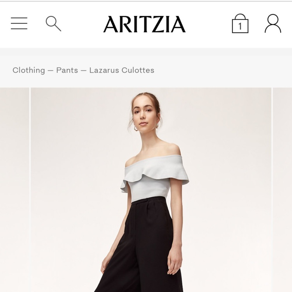 Aritzia Babaton Lazarus culottes